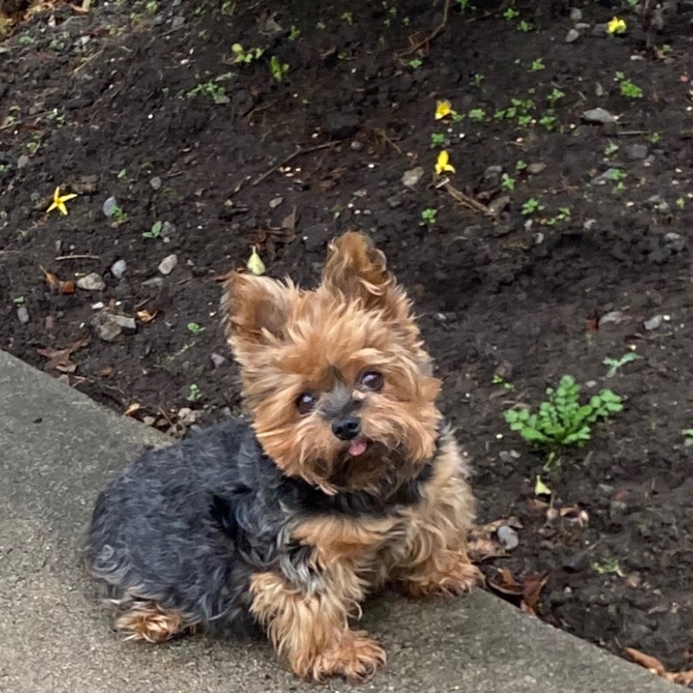 Meet your Posher, Jody